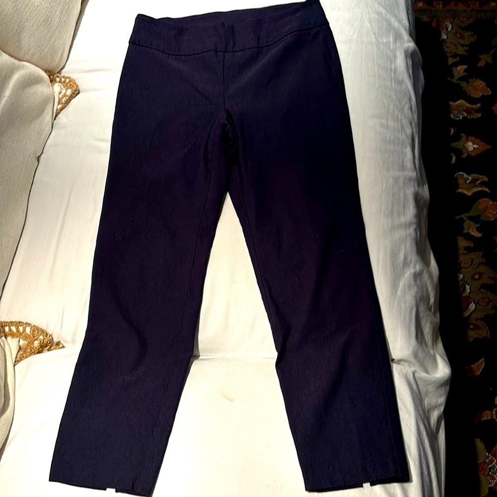 Navy Coconut Row Ladies Pants 8P